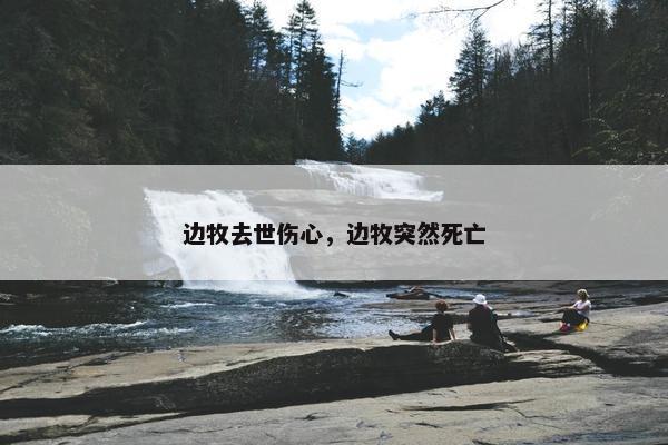 边牧去世伤心，边牧突然死亡