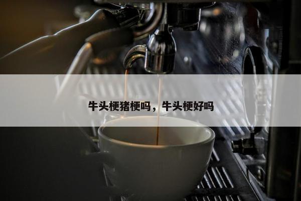 牛头梗猪梗吗，牛头梗好吗