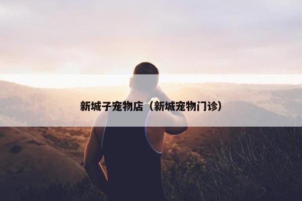 沈阳站