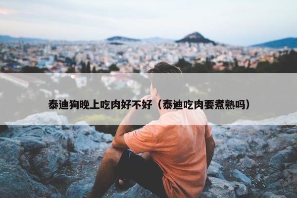 泰迪狗晚上吃肉好不好(泰迪吃肉要煮熟吗)