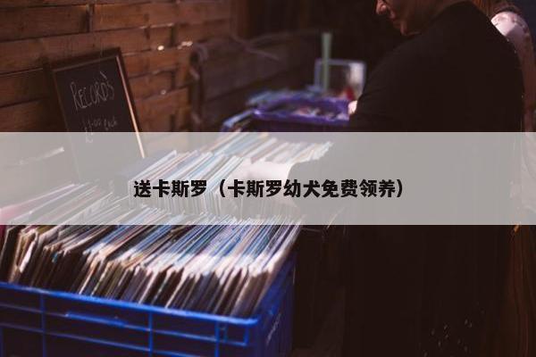 送卡斯罗(卡斯罗幼犬免费领养)