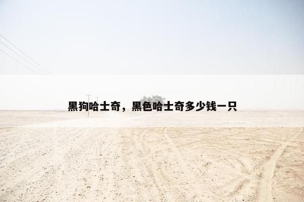 黑狗哈士奇,黑色哈士奇多少钱一只