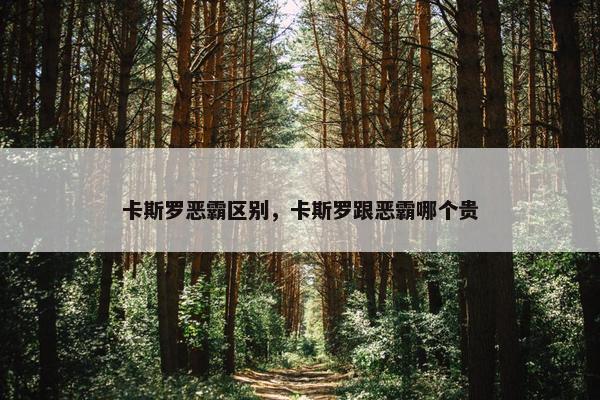 卡斯罗恶霸区别,卡斯罗跟恶霸哪个贵