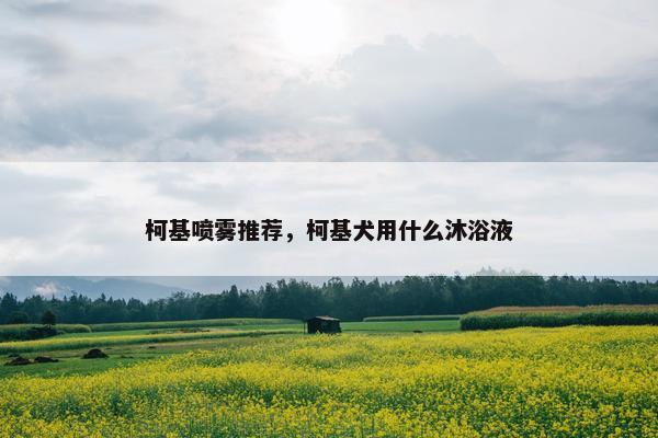 柯基喷雾推荐，柯基犬用什么沐浴液