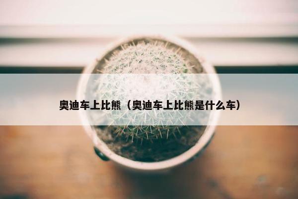 奥迪车上比熊（奥迪车上比熊是什么车）