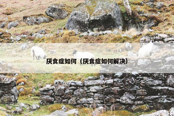 厌食症如何（厌食症如何解决）