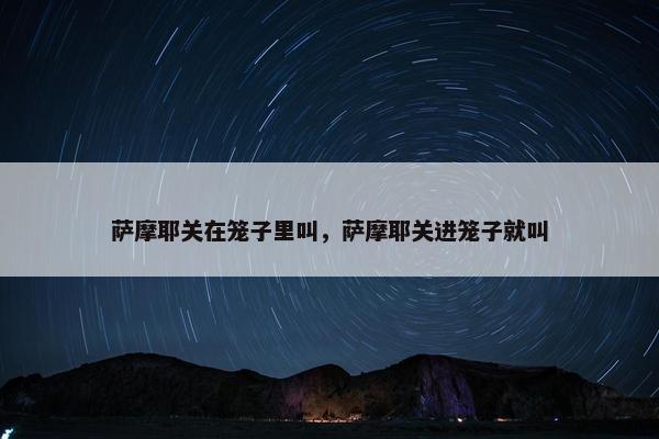 萨摩耶关在笼子里叫，萨摩耶关进笼子就叫