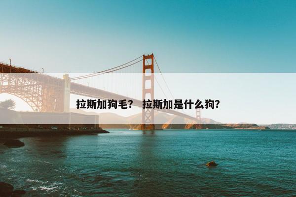 拉斯加狗毛？ 拉斯加是什么狗？