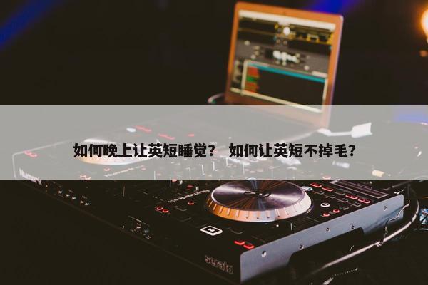 如何晚上让英短睡觉？ 如何让英短不掉毛？