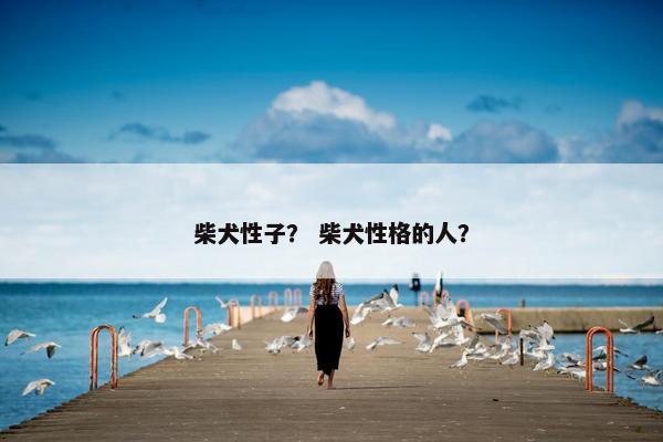 柴犬性子？ 柴犬性格的人？