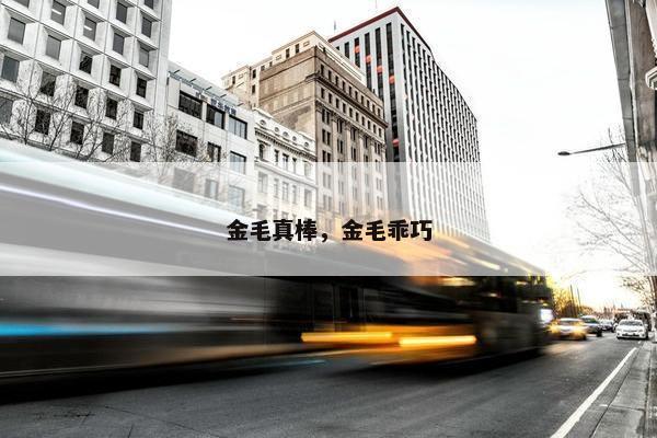 金毛真棒，金毛乖巧