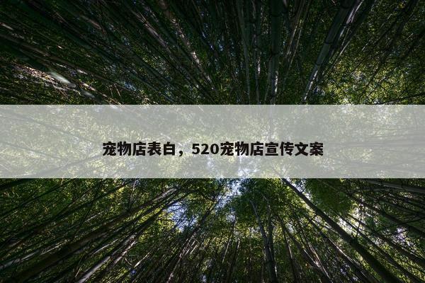 宠物店表白，520宠物店宣传文案