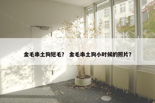 金毛串土狗短毛？ 金毛串土狗小时候的照片？