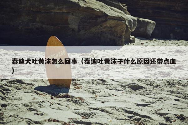 泰迪犬吐黄沫怎么回事（泰迪吐黄沫子什么原因还带点血）