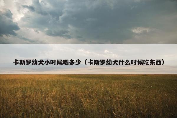 卡斯罗幼犬小时候喂多少（卡斯罗幼犬什么时候吃东西）