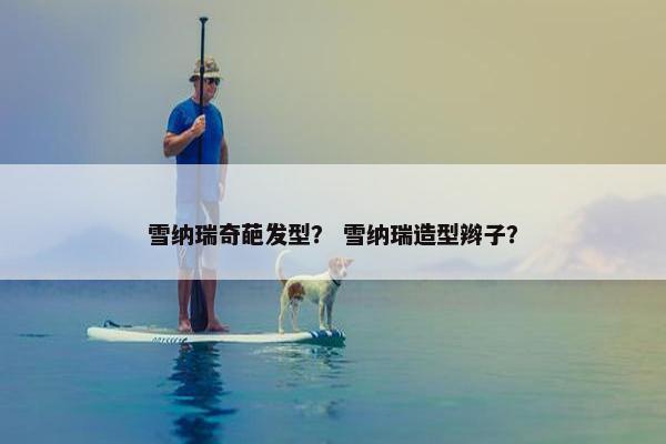 雪纳瑞奇葩发型？ 雪纳瑞造型辫子？