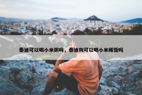 泰迪可以喝小米粥吗，泰迪狗可以喝小米稀饭吗