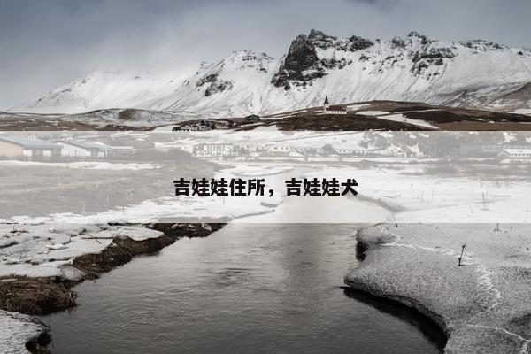 吉娃娃住所，吉娃娃犬