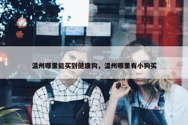 温州哪里能买到健康狗，温州哪里有小狗买