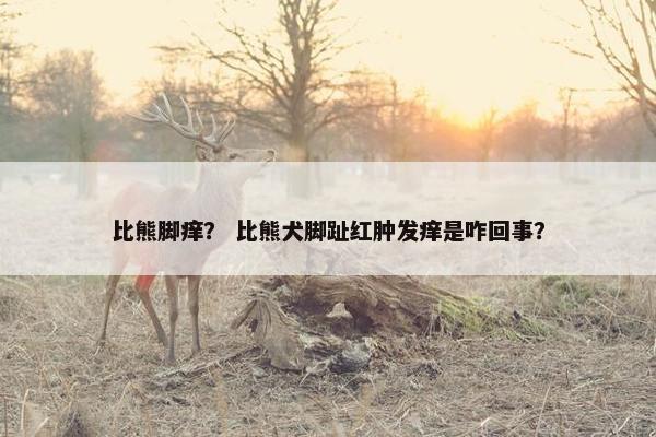 比熊脚痒？ 比熊犬脚趾红肿发痒是咋回事？