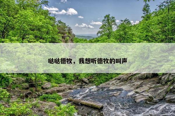 哒哒德牧，我想听德牧的叫声