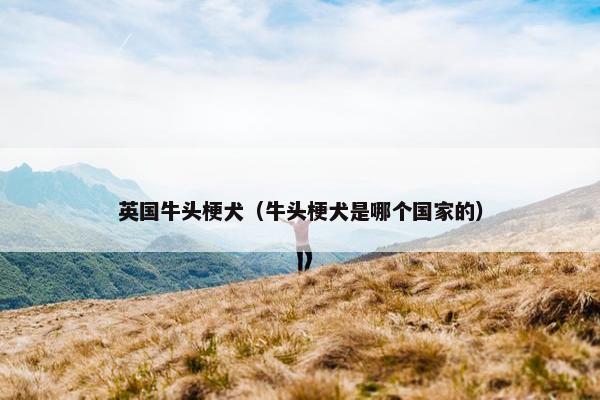 英国牛头梗犬（牛头梗犬是哪个国家的）