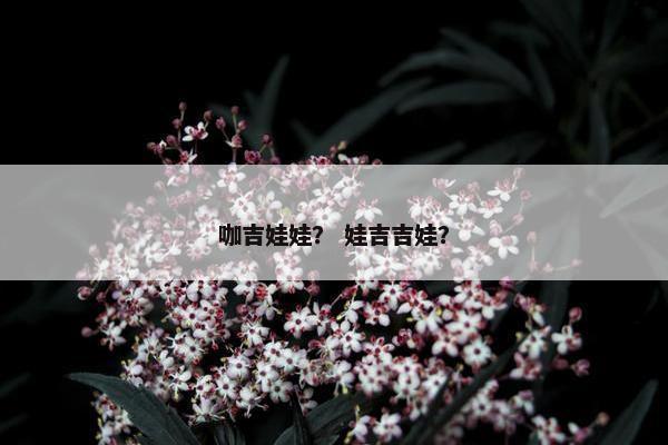 咖吉娃娃？ 娃吉吉娃？