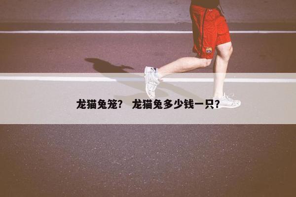 龙猫兔笼？ 龙猫兔多少钱一只？
