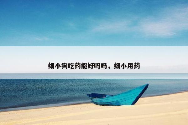 细小狗吃药能好吗吗，细小用药