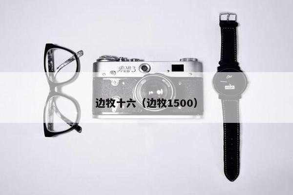 边牧十六（边牧1500）