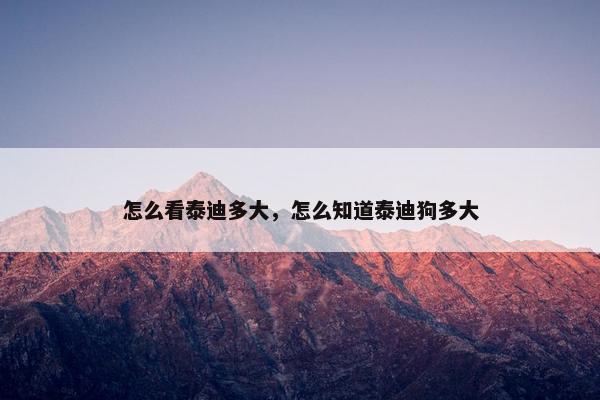 怎么看泰迪多大，怎么知道泰迪狗多大