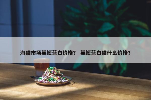 淘猫市场英短蓝白价格？ 英短蓝白猫什么价格？