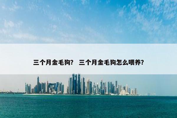 三个月金毛狗？ 三个月金毛狗怎么喂养？