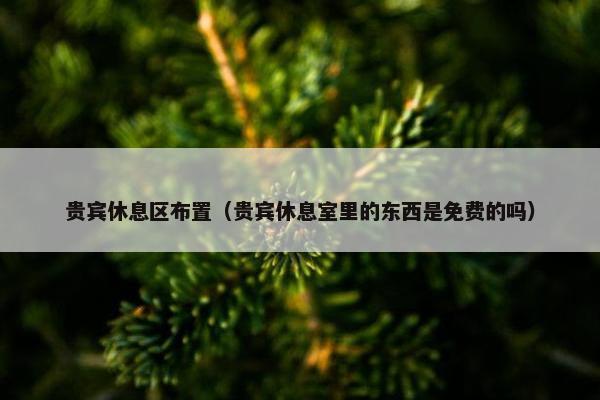 贵宾休息区布置（贵宾休息室里的东西是免费的吗）
