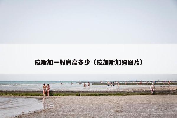 拉斯加一般肩高多少（拉加斯加狗图片）