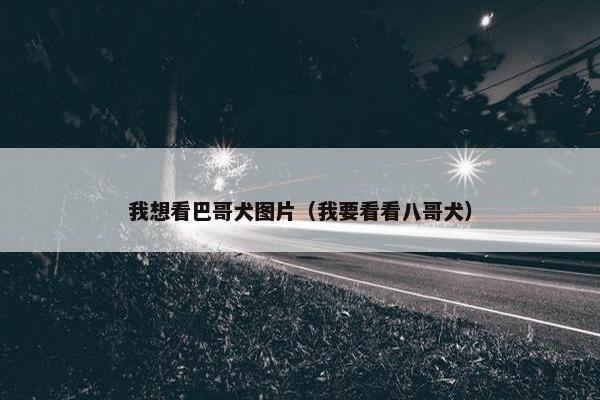 我想看巴哥犬图片（我要看看八哥犬）