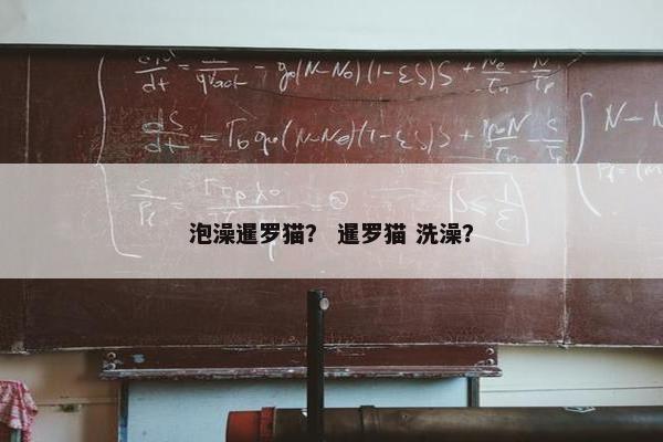 泡澡暹罗猫？ 暹罗猫 洗澡？