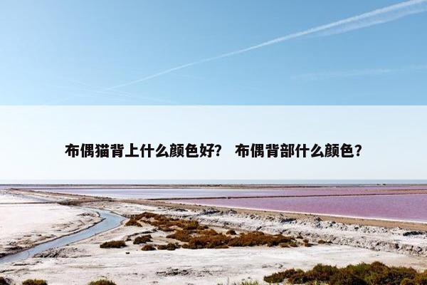 布偶猫背上什么颜色好？ 布偶背部什么颜色？