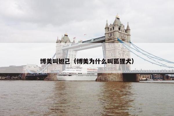 博美叫妲己（博美为什么叫狐狸犬）