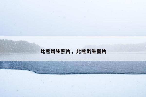 比熊出生照片，比熊出生图片