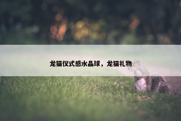 龙猫仪式感水晶球，龙猫礼物