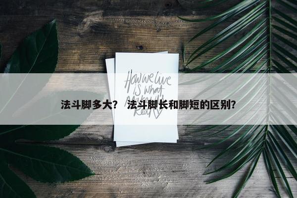 法斗脚多大？ 法斗脚长和脚短的区别？