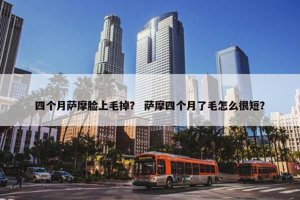 四个月萨摩脸上毛掉？ 萨摩四个月了毛怎么很短？