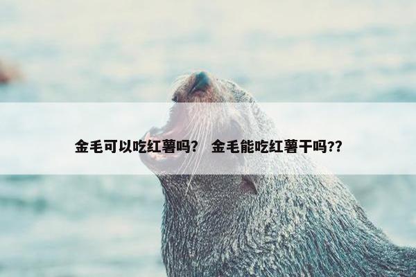 金毛可以吃红薯吗？ 金毛能吃红薯干吗?？