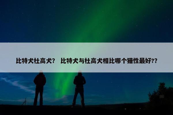 比特犬杜高犬？ 比特犬与杜高犬相比哪个猎性最好?？