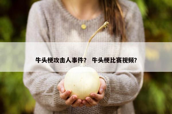 牛头梗攻击人事件？ 牛头梗比赛视频？