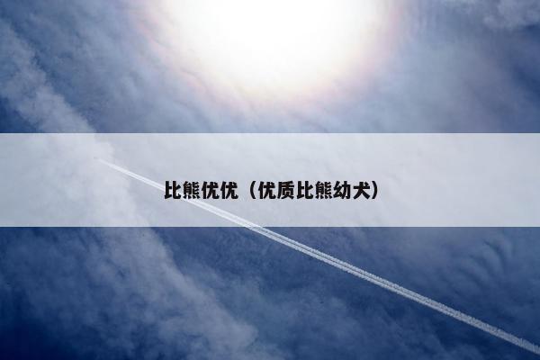 比熊优优（优质比熊幼犬）