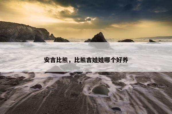 安吉比熊，比熊吉娃娃哪个好养