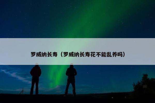 罗威纳长寿（罗威纳长寿花不能乱养吗）