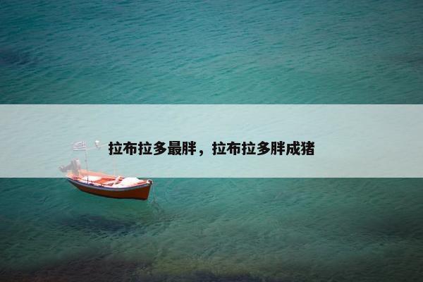 拉布拉多最胖，拉布拉多胖成猪